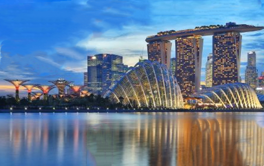 如何管理和维护注册的新加坡公司？