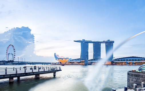 注册新加坡公司手续，如何根据自己的需求和目标选择一种最合适的新加坡公司类型